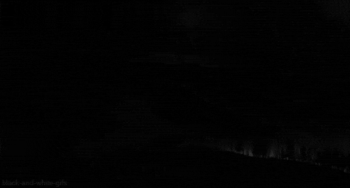 black and white moon GIF by Head Like an Orange