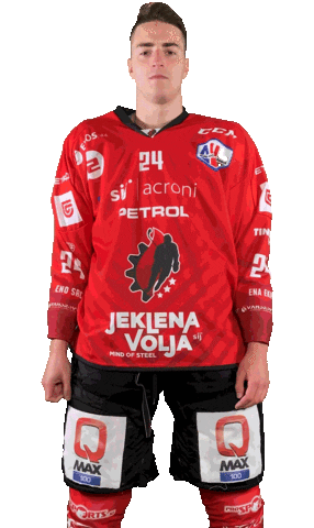 Hockey Hokej Sticker by HDD SIJ Acroni Jesenice