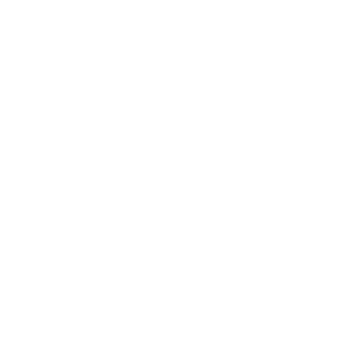 Twente giphyupload text wit springen Sticker
