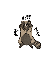 Raccoon Dame Sticker