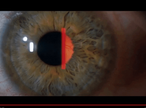auryn_macmillan giphyupload GIF