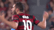 Western Sydney Wanderers Wsw GIF by wswanderersfc