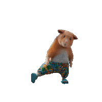 Happy Dance Sticker by Dedoles