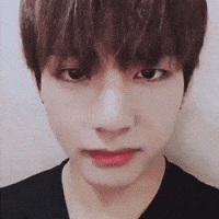 V Btsv GIF
