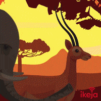 IkejaWireless ikeja ikejawifi ikejawireless GIF