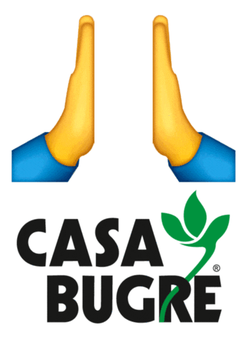 casabugre_ giphyupload casabugre casa bugre Sticker