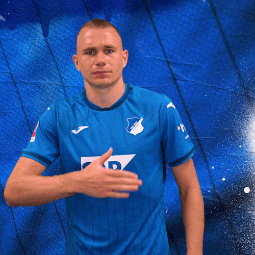Sport Logo GIF by TSG Hoffenheim