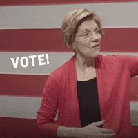 Voting 2020 Election GIF by Elizabeth Warren