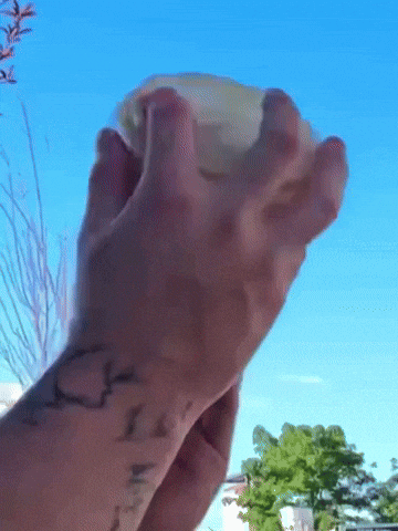 Shocked Surprise GIF