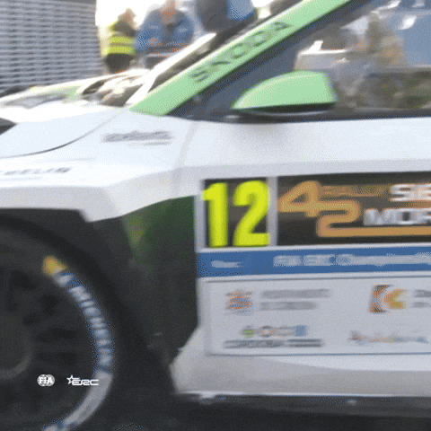 Racing Smoking GIF by FIA European Rally Championship