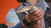 Food Rachel GIF by Rachael Ray Show