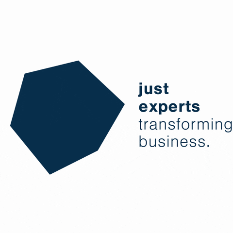 justexperts giphyupload justexperts experts consulting transformingbusiness experten GIF