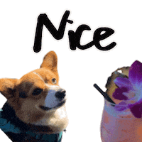 Corgi Milo Sticker