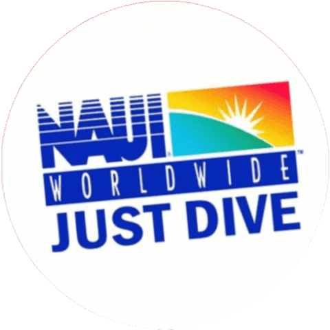 arrecifesdelpacifico diving dive scuba freediving Sticker