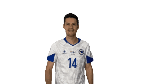 Hajradinovic Sticker by Reprezentacija Ba