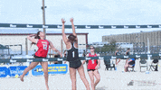 beach volleyball GIF by GreenWave