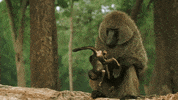 Awkward Baby GIF by Discovery