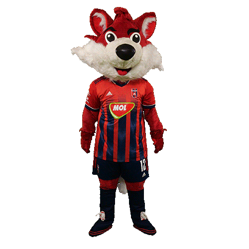 molfehervarfcgif fox vidi roka szekesfehervar Sticker