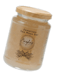 magdasfoodprogramme vegan magda alkaline sea moss Sticker