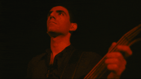 nouhisnomad giphyupload nyc bass nomad GIF