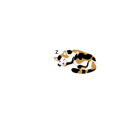 Cat Kitten Sticker by Kyte BABY