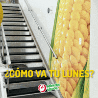 GIF by Minuto Verde