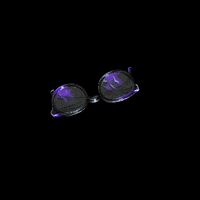 Sunglasses GIF