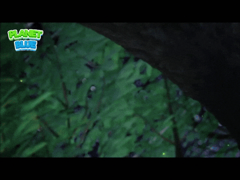 Where Are You Wow GIF by Planet Blue