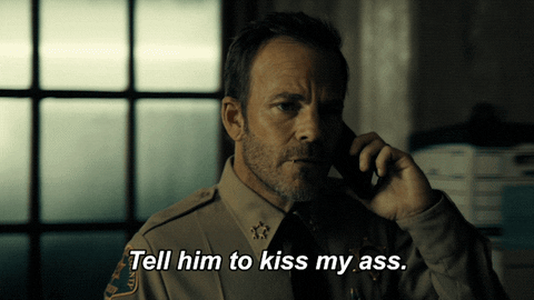 Kiss My Ass Sheriff GIF by FOX TV