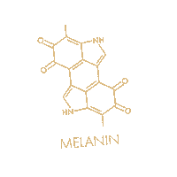 Chemical Structure Sticker by EUMELANIN
