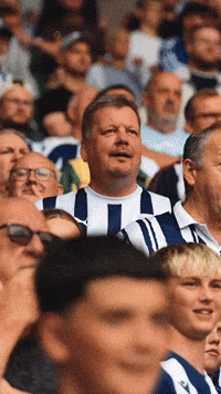 Celebrating West Brom GIF by West Bromwich Albion