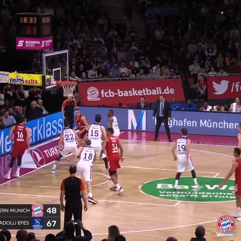 Fc Bayern Fcbb GIF by FC Bayern Basketball
