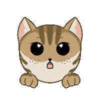 Cat Wow Sticker
