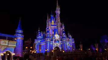 Emergency Crews Attend Small Fire at Walt Disney World's Magic Kingdom in Orlando