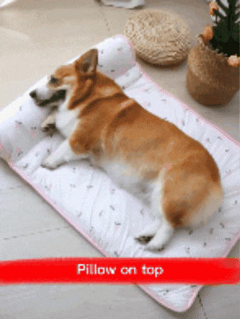 irish_2424 giphygifmaker GIF