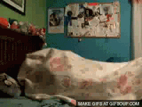 busy GIF