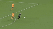 Dance Soccer GIF by Washington Spirit