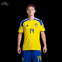 Fifa World Cup Uefa GIF by Respective