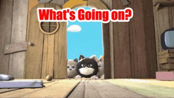 Angry Pets GIF by HangryPetz