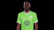 Look Here Reaction GIF by VfL Wolfsburg
