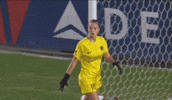 Lets Go Clap GIF by National Women's Soccer League