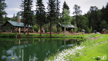 TheBroadmoor travel vacation luxury hotel GIF