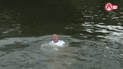 kvk swimming GIF by KV Kortrijk