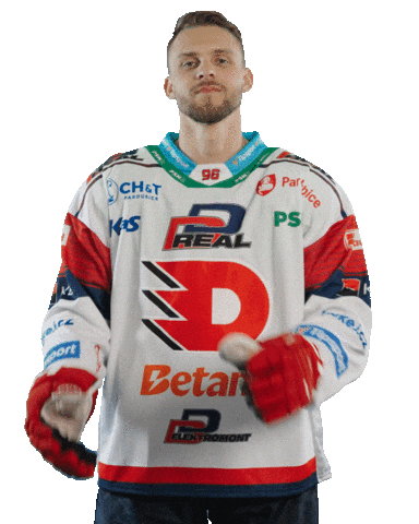 Hockey Czech Sticker by HC Dynamo Pardubice