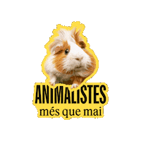Sticker by esquerrabcn
