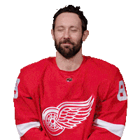 Gagner Ice Hockey Sticker by Detroit Red Wings