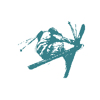 Snow Winter Sticker by Pure Baqueira Ski