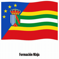 Bandera Granada GIF by Formación Ninja