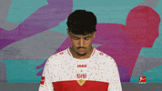 Vfb Stuttgart Football GIF by Bundesliga