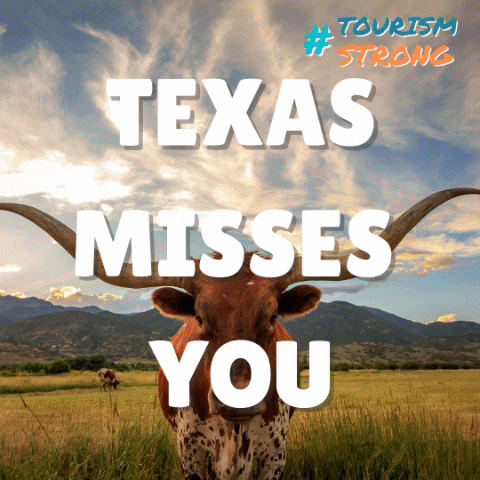 NancyVonMack giphygifmaker texas tourismstrong texastourism GIF